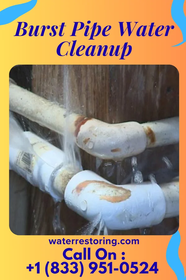 Burst Pipe Water Cleanup in Williamsport, OH