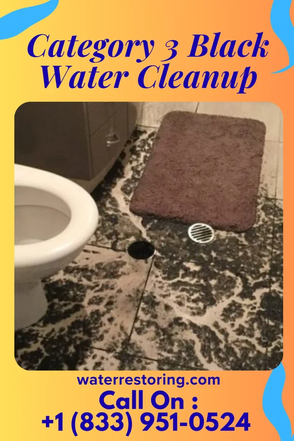 Category 3 Black Water Cleanup in Williamsport, OH