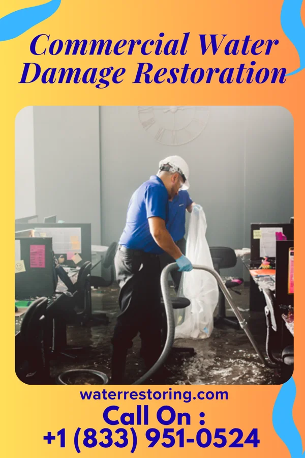 Commercial Water Damage Restoration in Williamsport, OH