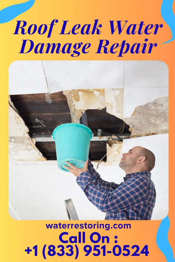 Roof Leak Water Damage Repair in Williamsport, OH