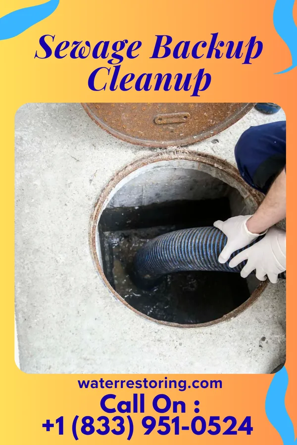 Sewage Backup Cleanup in Williamsport, OH