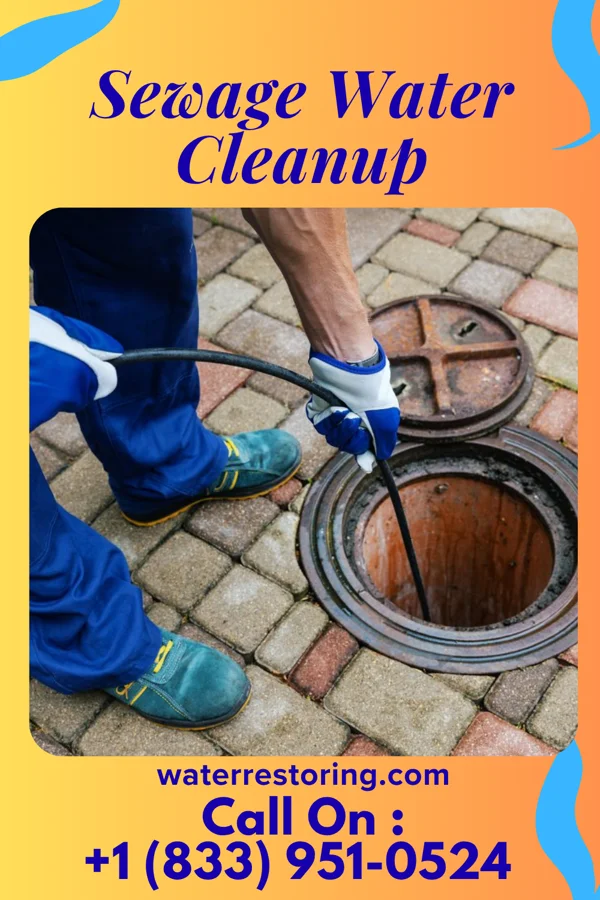 Sewage Water Cleanup in Williamsport, OH
